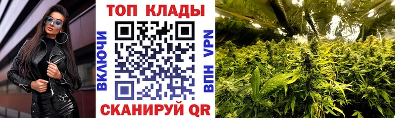 Купить наркотики сайты Мураши АМФ Меф Альфа ПВП Конопля COCAIN