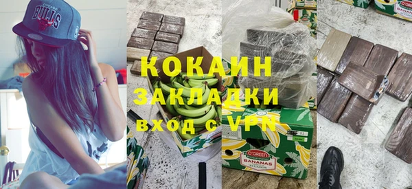 шишки Семилуки