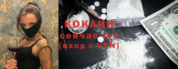 спиды Богородицк